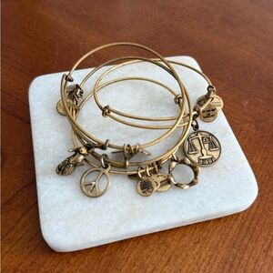 Alex and Ani Gold Charm Bracelet Set